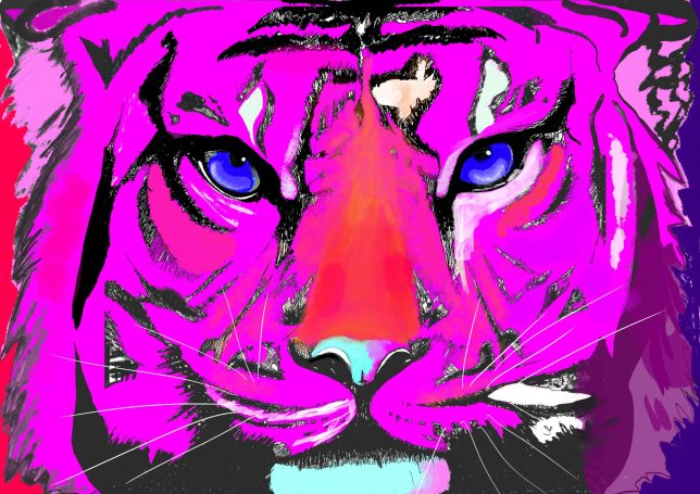 -TIGRE-  Animal fascinant par force et sa beauté, travail fait en 2022 lors de l'année du Tigre. 